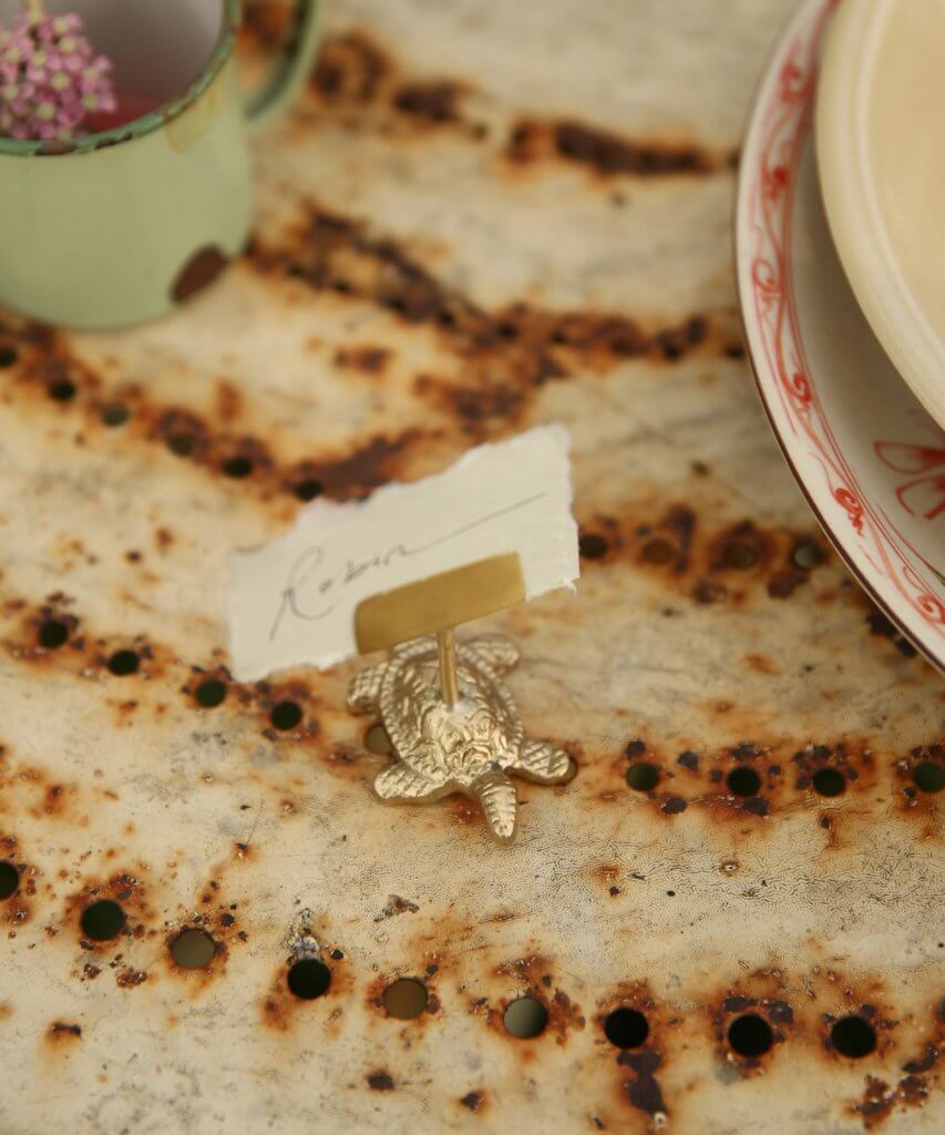 lily-turtle-cardholder-doing-goods